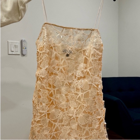 Retrofete Jaala Sequin Peach Lace Dress - Picture 4 of 5